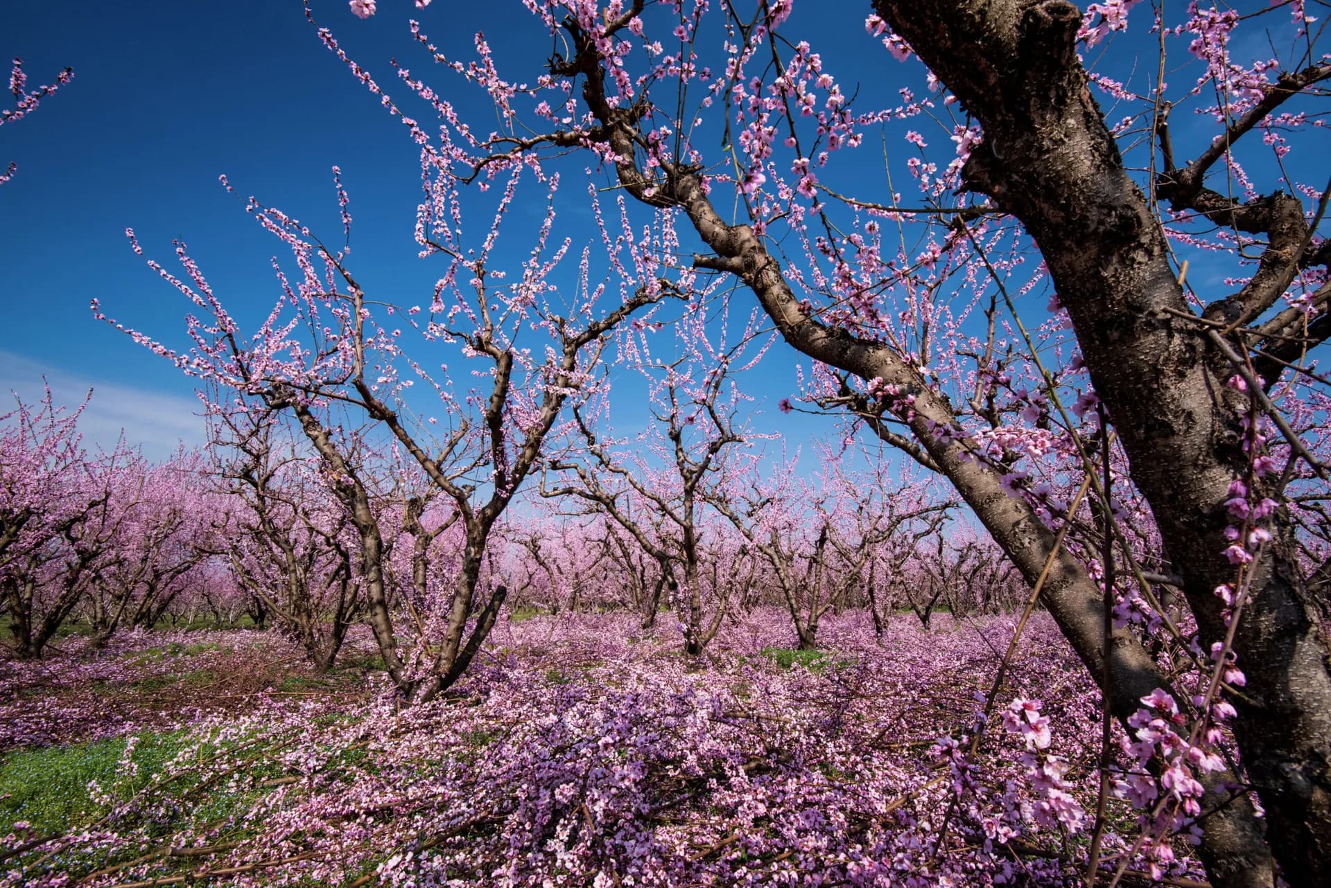 4 Spring Escapes in Greek Nature for the Coming Weekends