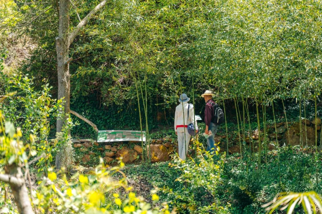 Chania Botanical Park: A Paradise for Hundreds of Plants and Animals
