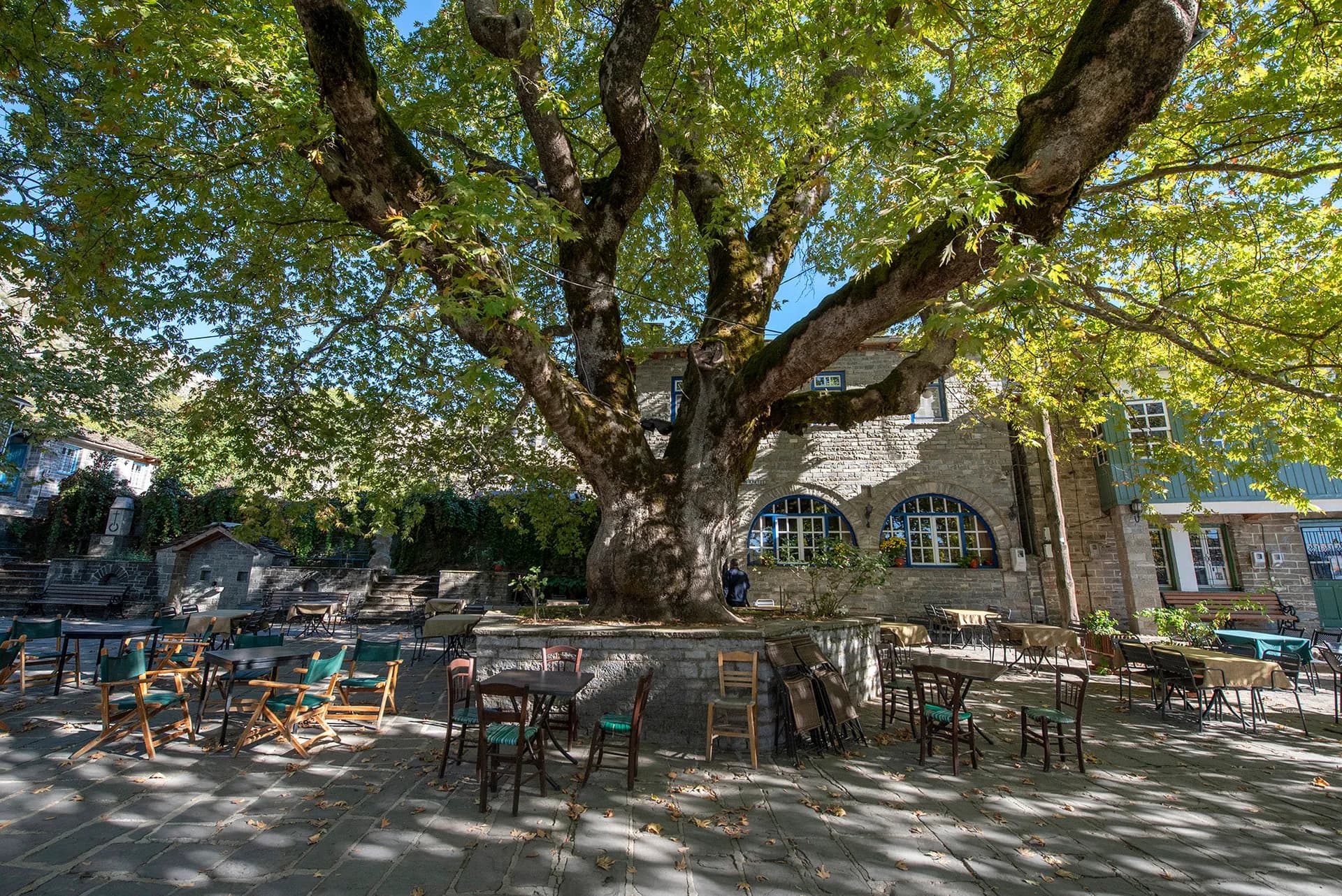 A Culinary Journey Through Zagori: Pies, Stews, and Quality Meats