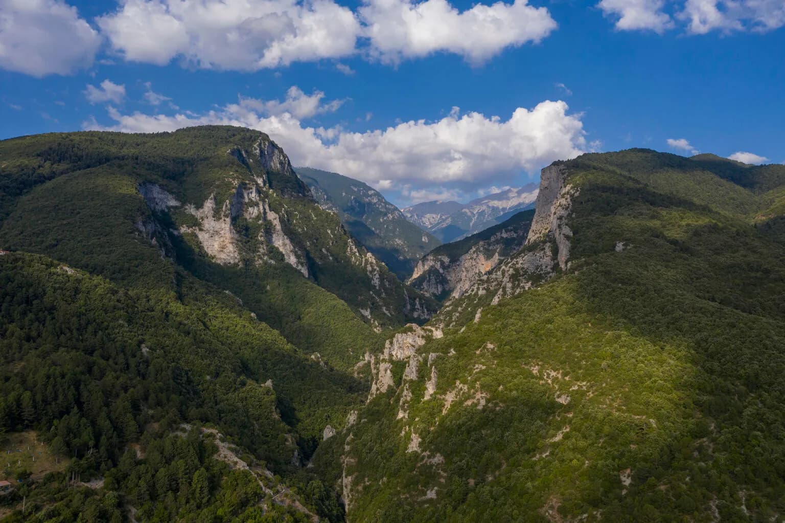 Angeliki Siamou: The Artist Living in Litochoro, Pieria, Inspired by Mount Olympus