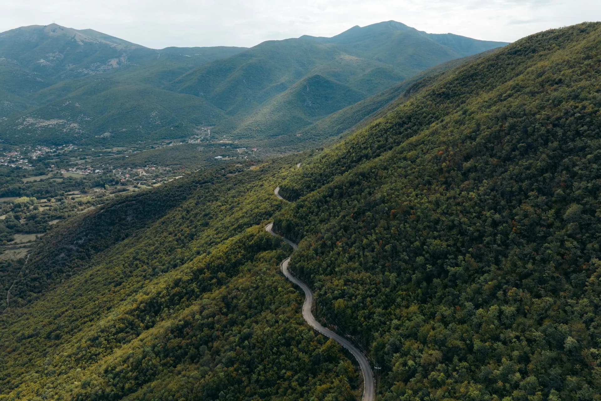 Wild Horses and the Nestos River's Meanders: A Unique Journey in Xanthi's Hinterland