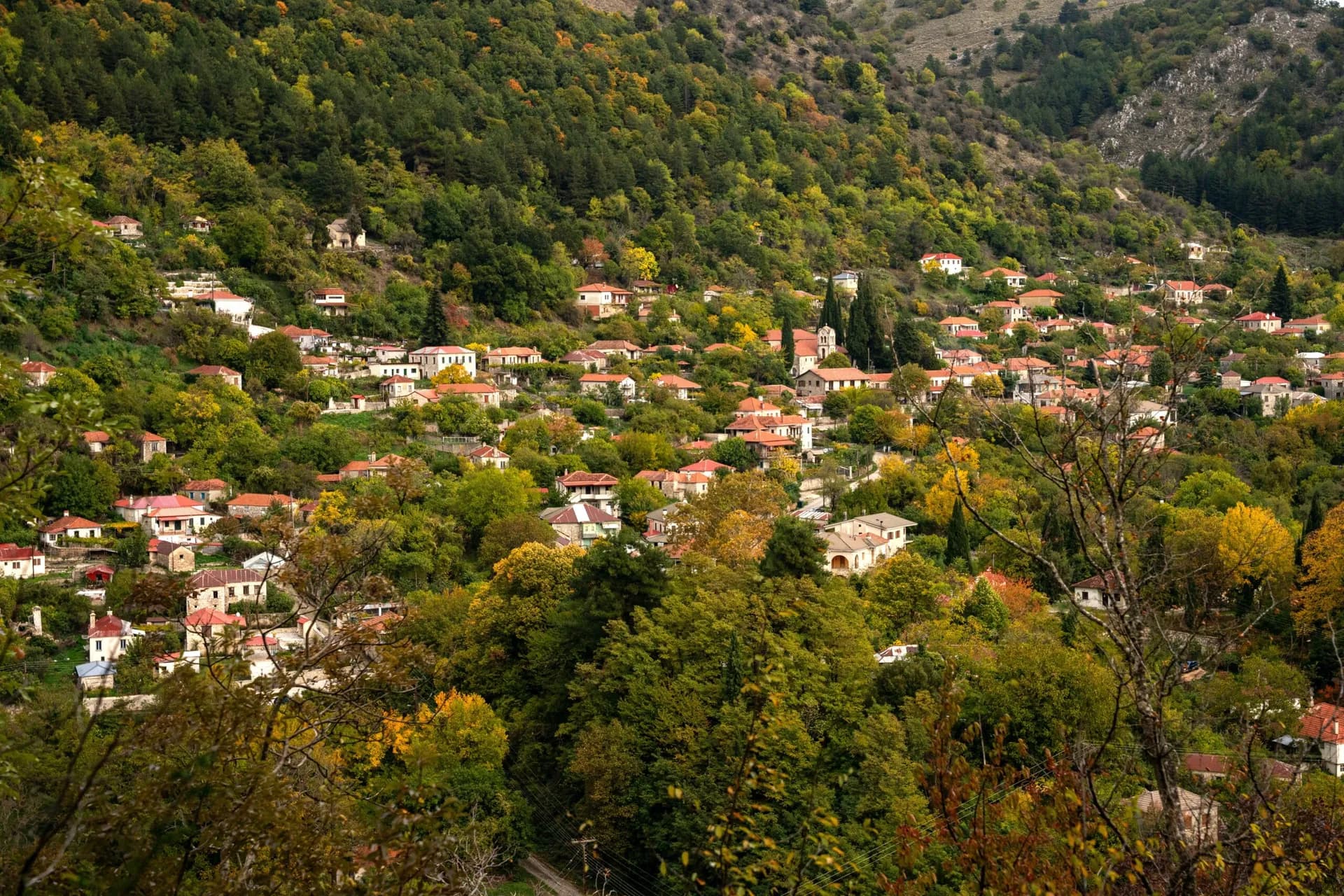 From Athens to Vasiliko, Pogoni: A Former Sound Engineer Tries to Keep the Village Alive