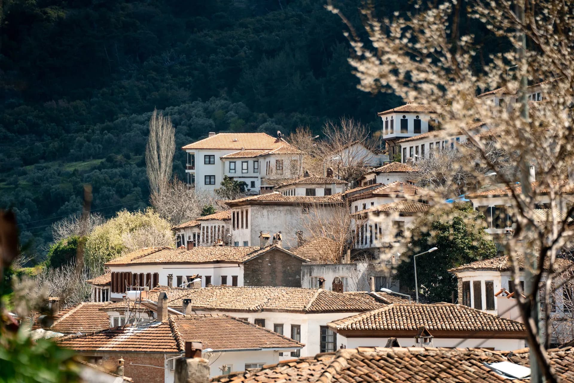From Ephesus to Kirkintze: A Visit to Dido Sotiriou's Homeland