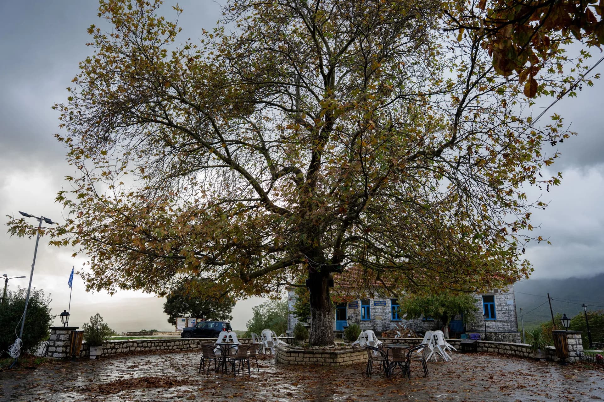 Pogoni Dispatch: Kato Meropi, We Visited the Café Where the Village Heart Beats