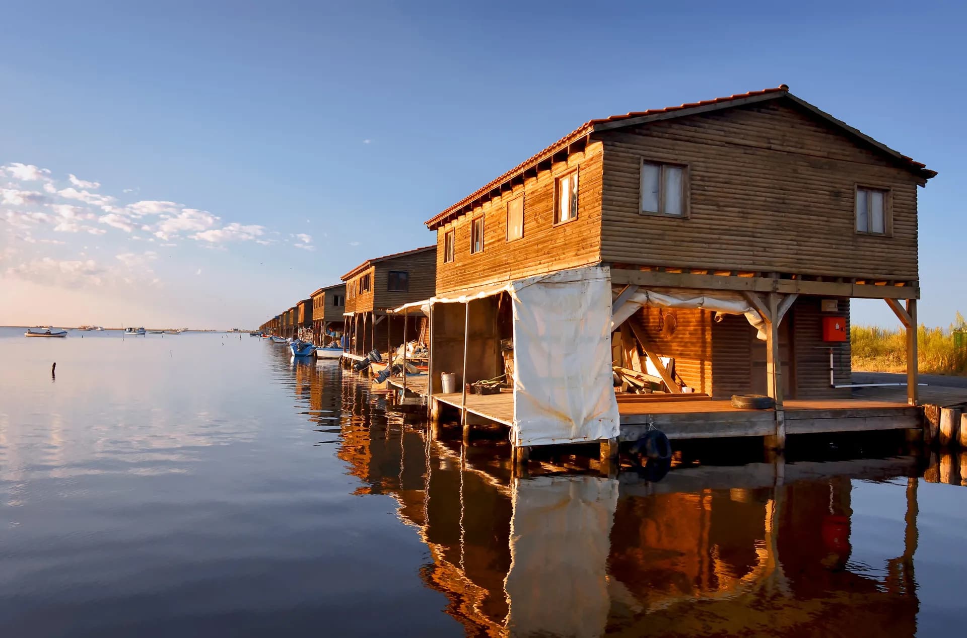 Chalastra: One of Europe's Largest Rice Fields