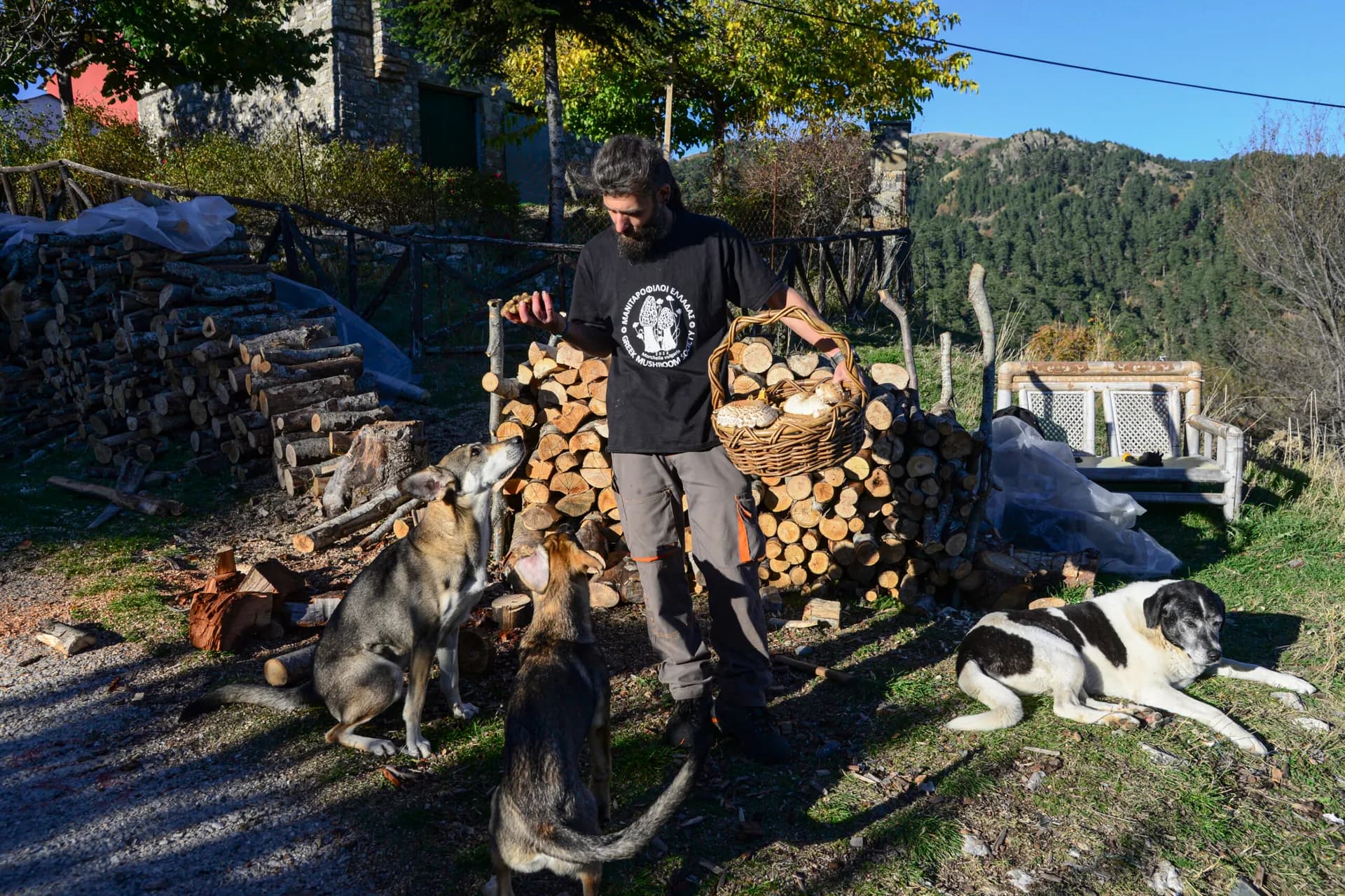 Dimitris-Panagiotis Siafarikas: The Mathematician Who Became a Mushroom Forager in Grevena