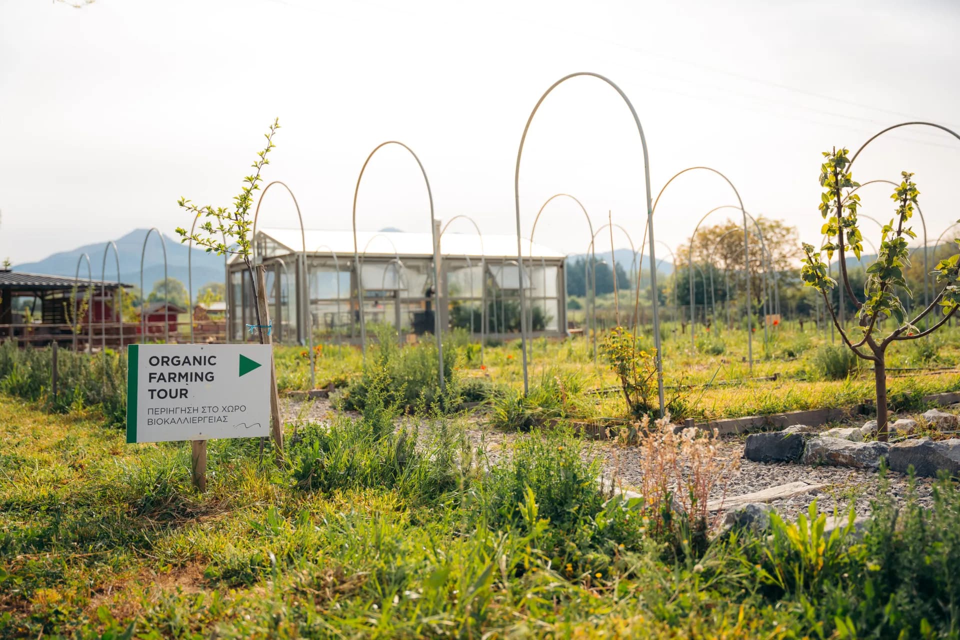 A Farm That's an Ode to the Rich Land of Arcadia
