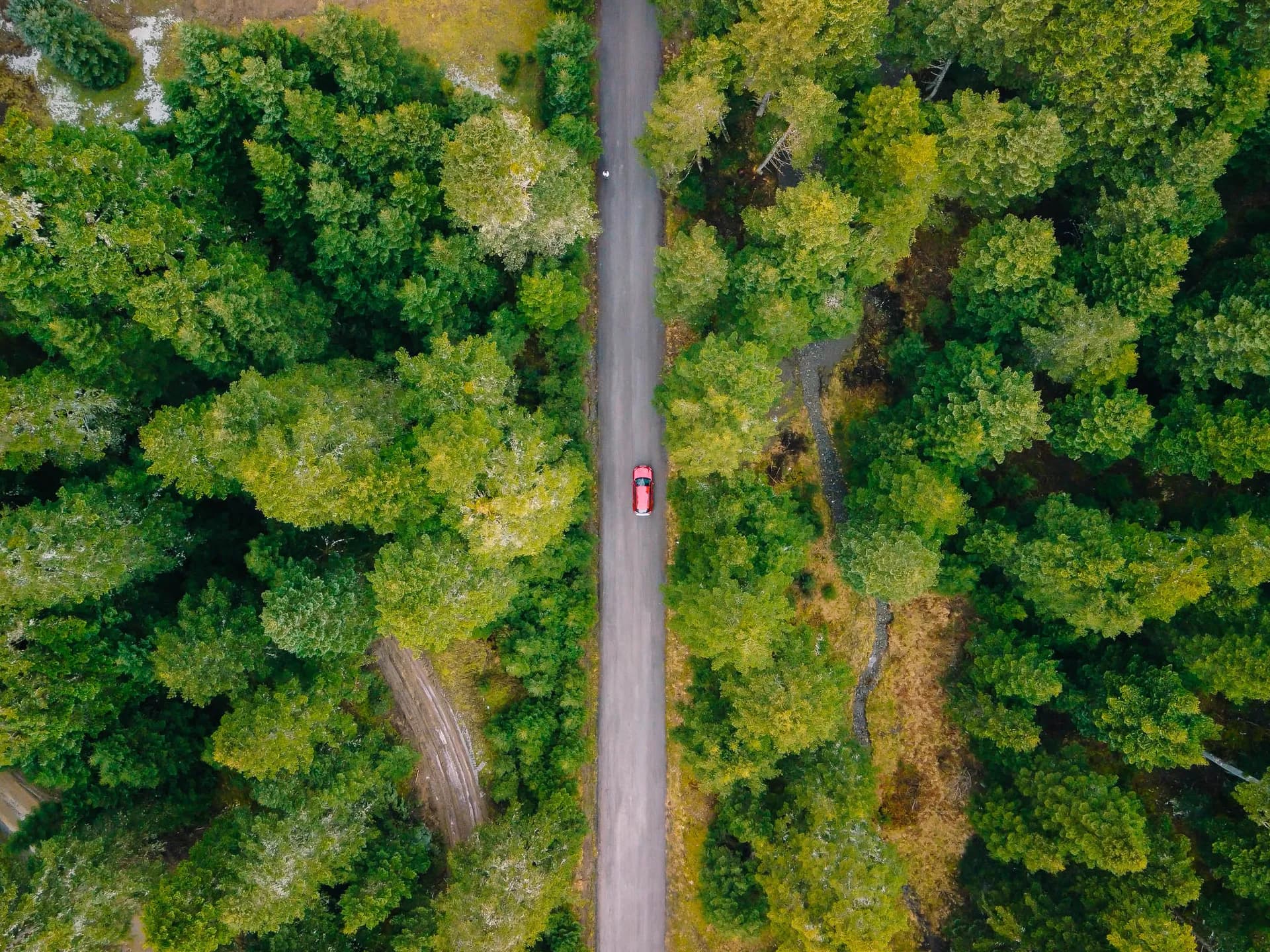 A Magical Road Trip Through Arcadia's Fir Forests and Mountain Villages